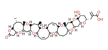 Oxidized brevetoxin 1